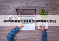 区块链项目孵化企业公司[区块链孵化平台]